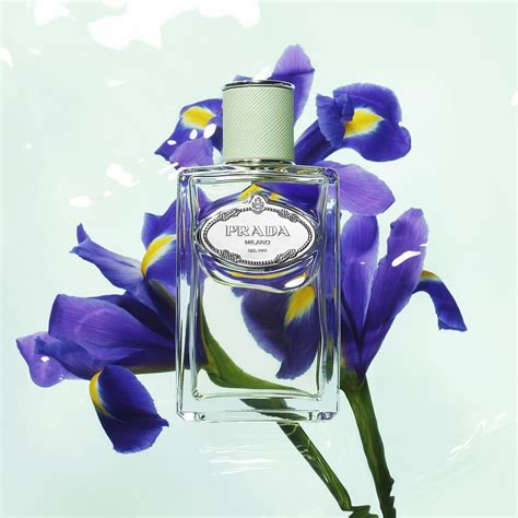 prada iris perfume ingredients